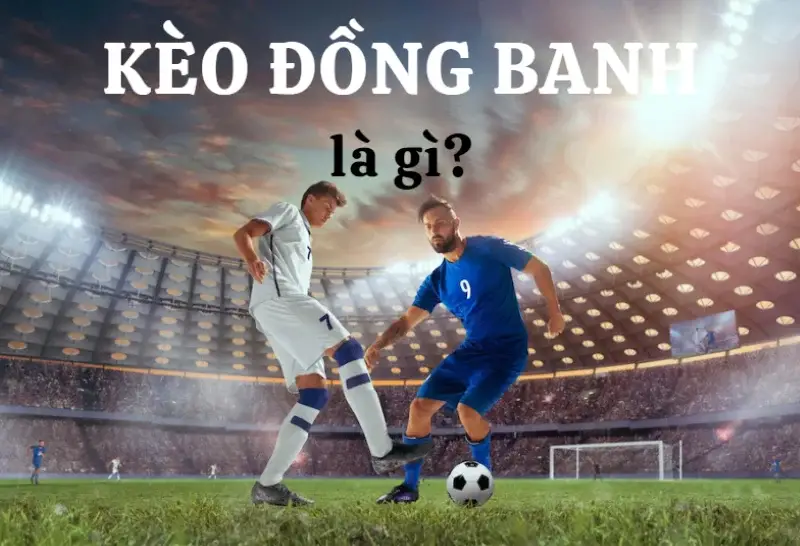 keo dong banh la gi 6633ebbeef1d4